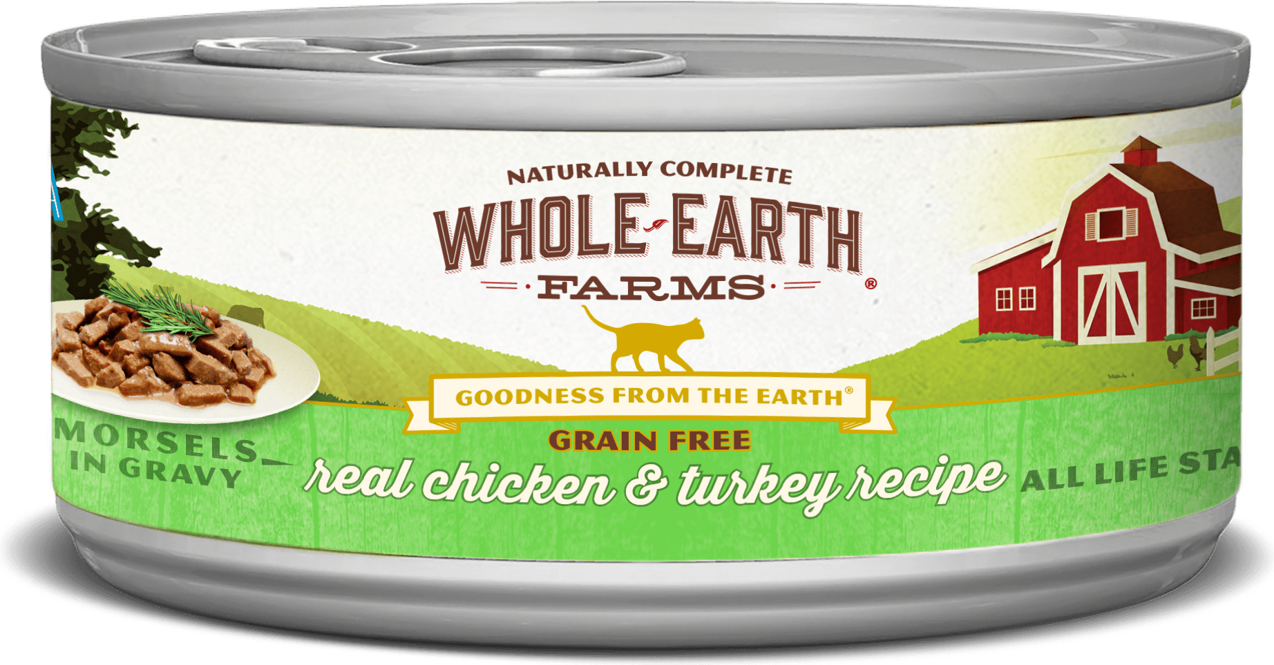 Whole Earth Farms Grain Free Chicken & Turkey Recipe (Morsels In Gravy)